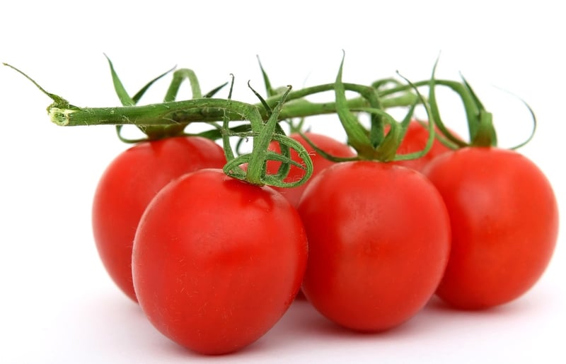 Food Trends